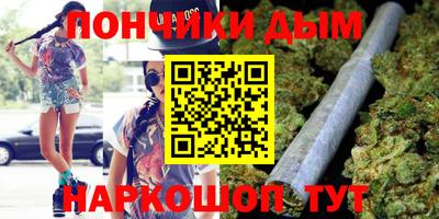 гашик Шелехов
