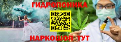 индика Шахты