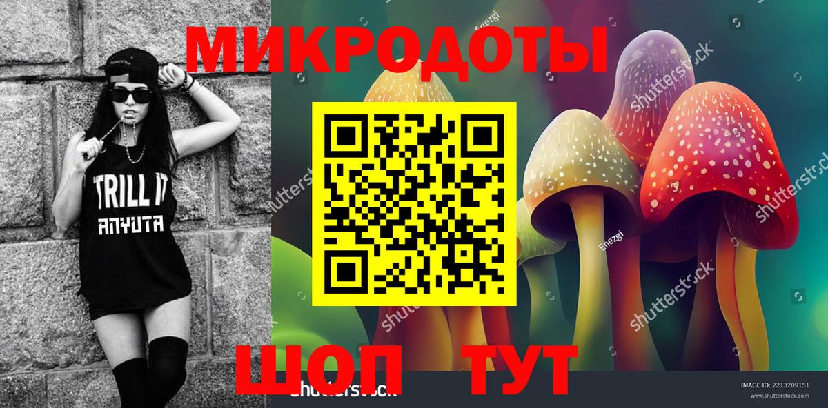 Советская Гавань  Псилоцибиновые грибы ЛСД  Вход с VPN  Псилоцибиновые грибы Magic Shrooms 