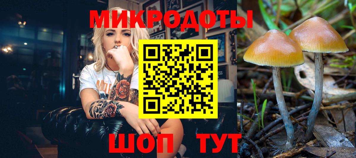 Галлюциногенные грибы мицелий Советская Гавань